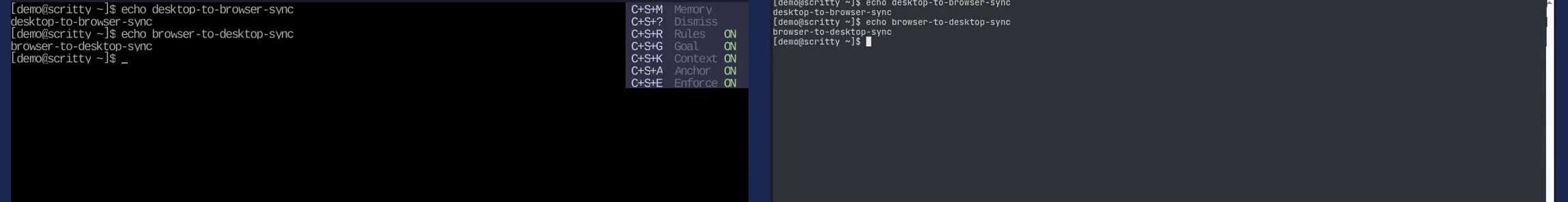 The native scritty desktop window on the left and the same session open in a browser tab on the right, both showing the identical echo desktop-to-browser-sync and echo browser-to-desktop-sync output